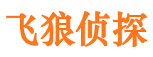 岳麓外遇出轨调查取证